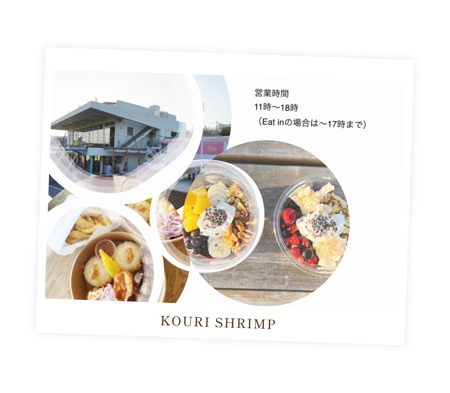 KOURI SHRIMP